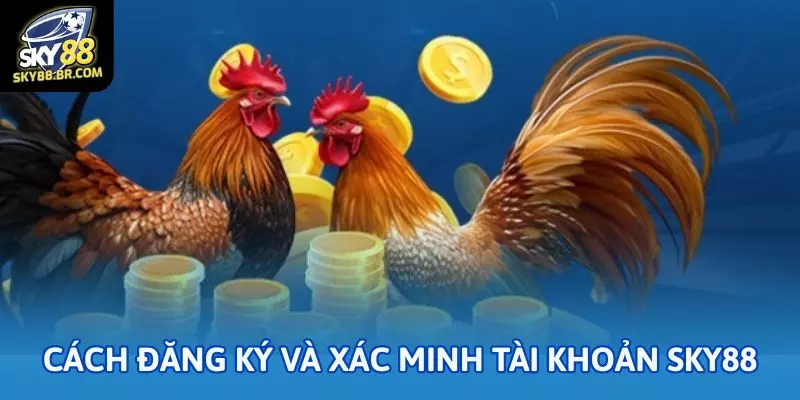 Cách đăng ký và xác minh tài khoản Sky88